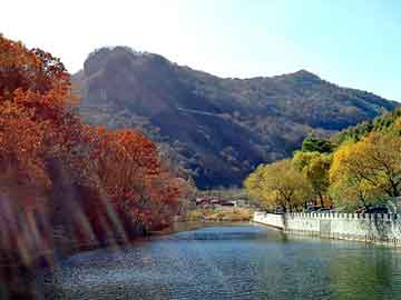 管家婆黑白马报图库，纵横颠峰